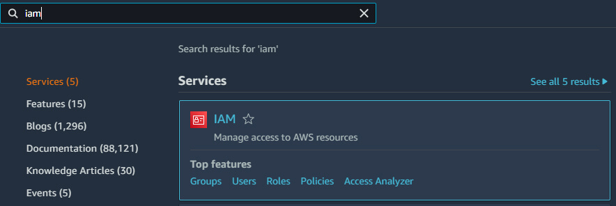 AWS portal IAM search