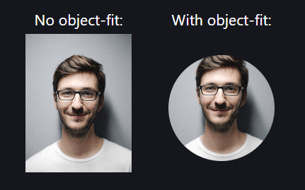 CSS object fit images