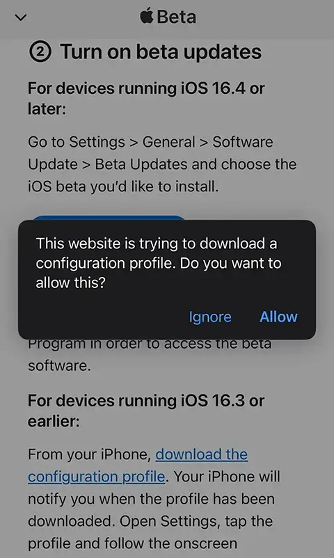Allow the iOS Beta configuration profile download